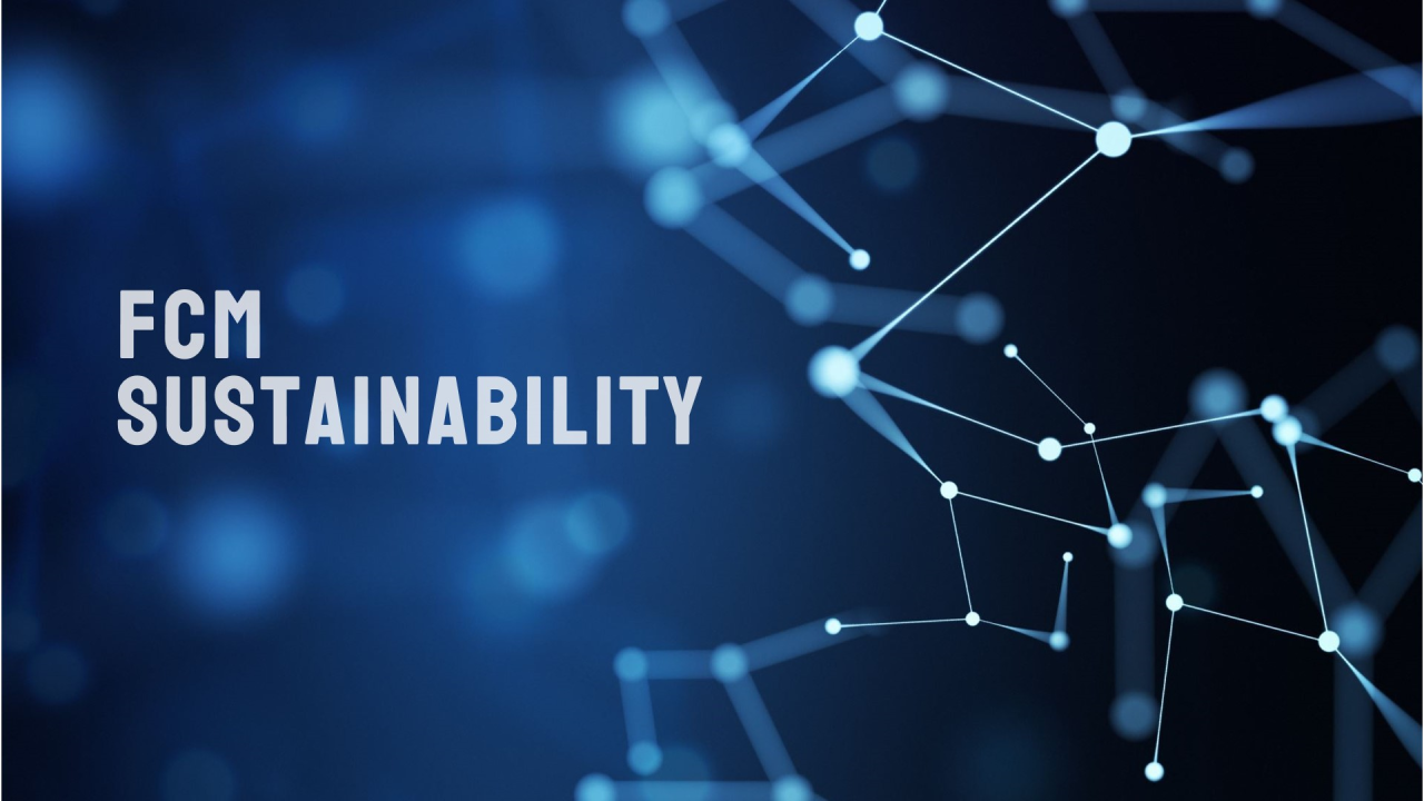 The Voluntary Sustainability Reporting Standard for non-listed SMEs (VSME) – a FAQ